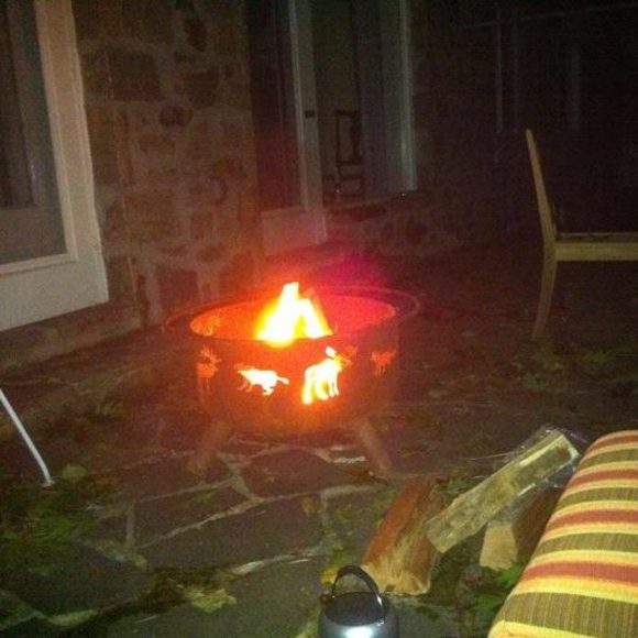 Meet your Posher, Ellen - Picture 1 of 1